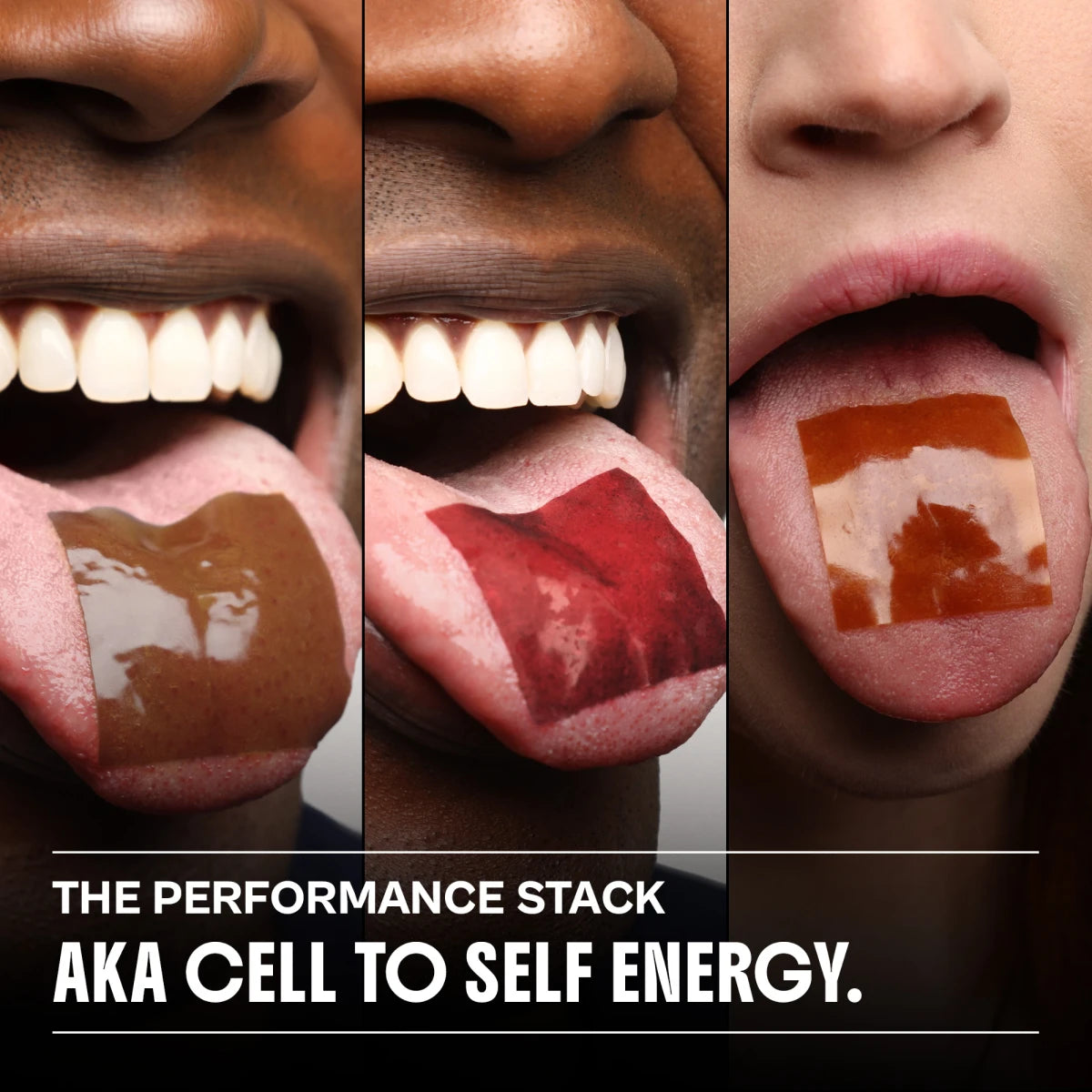 THE PERFORMANCE STACK