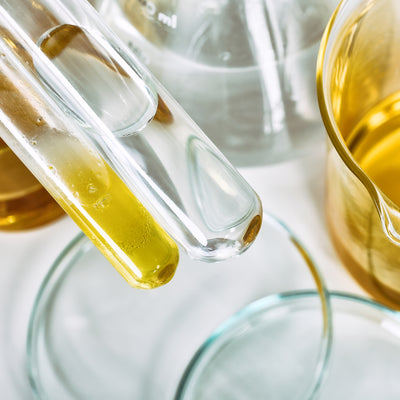 INGREDIENTS GLOSSARY